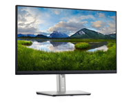 DELL 23.8" P2422HE USB-C Profesional IPS monitor