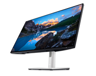 DELL 23.8" U2422H USB-C UltraSharp IPS monitor