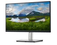 DELL 21.5" P2222H Professional IPS monitor