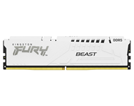 KINGSTON DIMM DDR5 32GB 6000MT/s KF560C36BWE-32 FURY Beast White EXPO