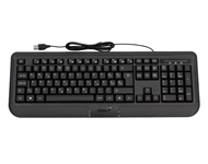 GENIUS KB-118 II USB YU crna tastatura